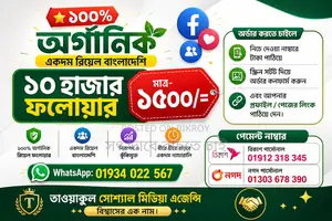 Seeking Business Partner / Investor