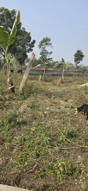 Rajuk Purbachal Sector 11 South-Facing Plot for Sale