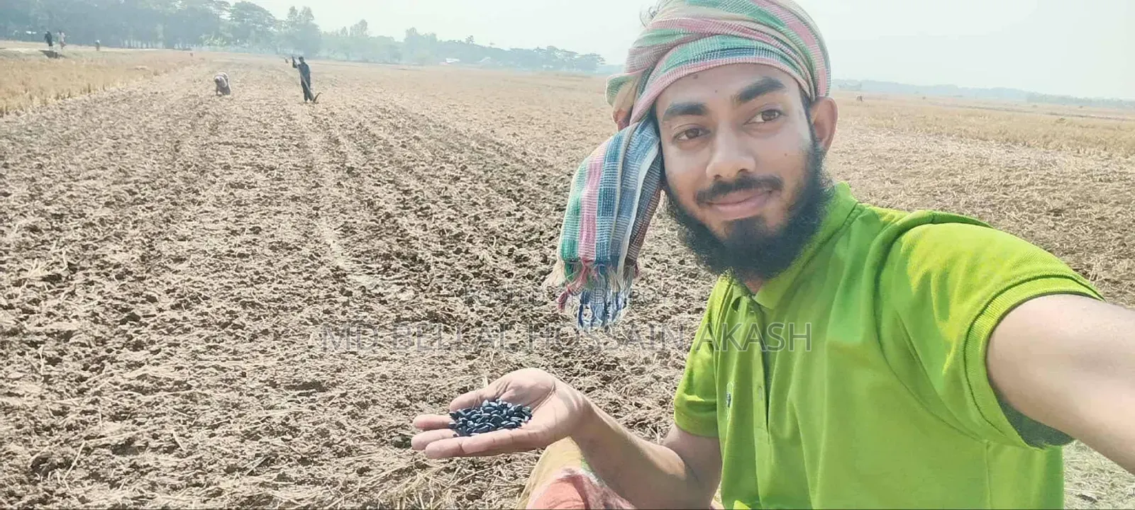 সূর্যমুখীর তেল বিক্রি হবে