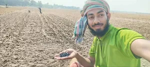 সূর্যমুখীর তেল বিক্রি হবে