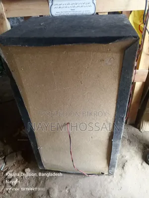 12" Dynamic Speaker+ Cabin + Twiter+ 2 Transition Amplifier