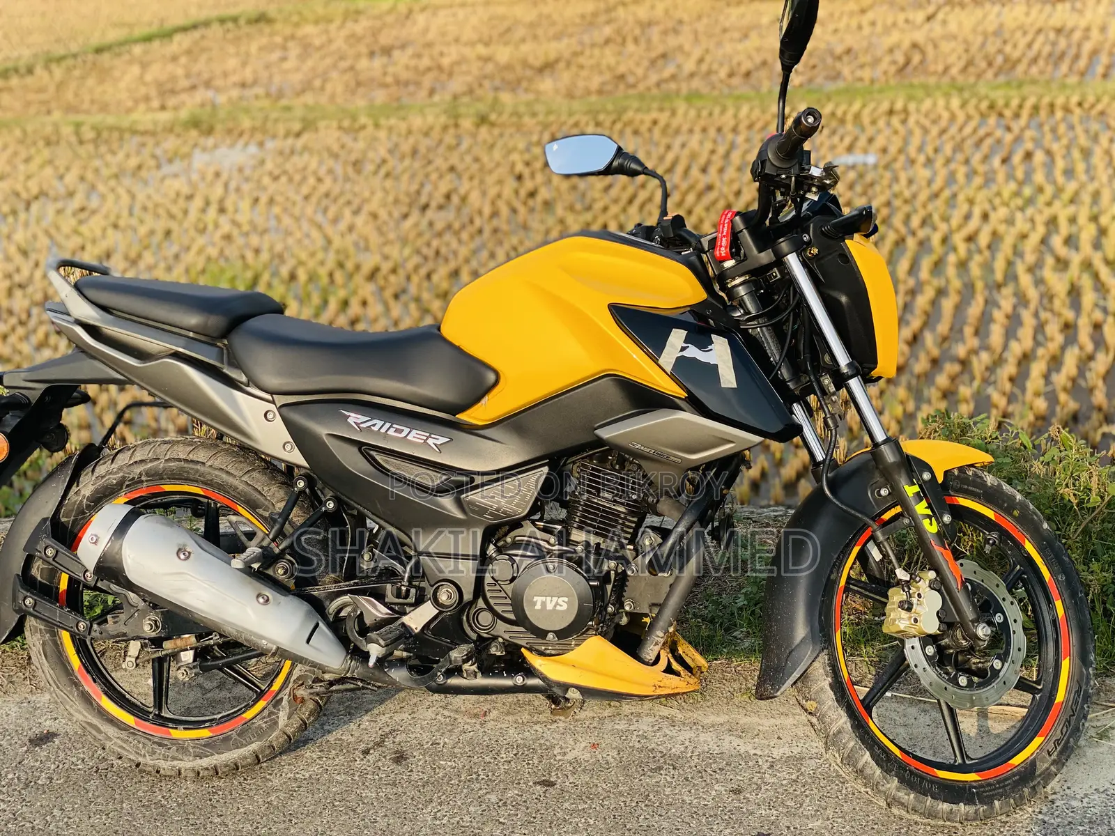 TVS Raider 125 2023 Yellow