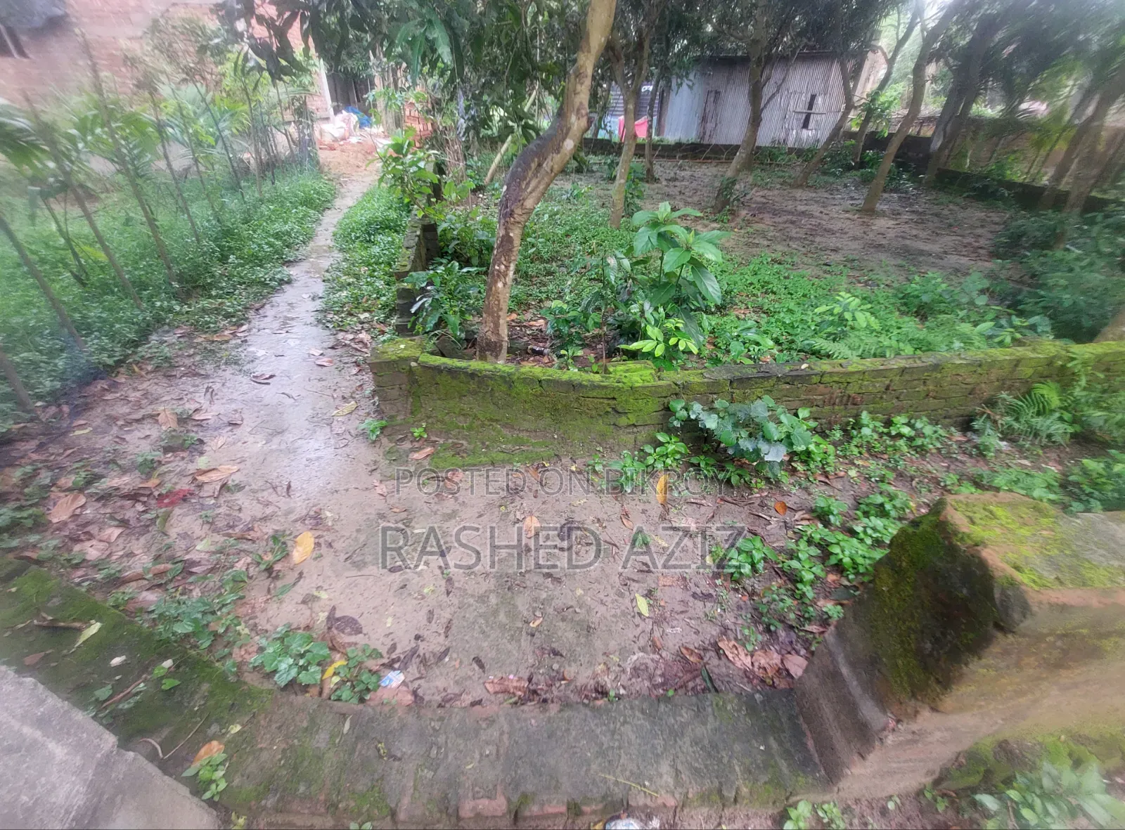6 Katha Land 3 Tala Foundation 1 Tala Building Roof Complete for Sale