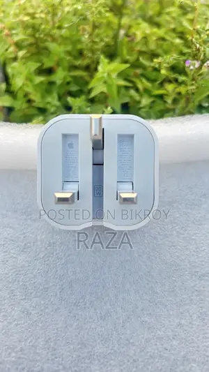 iPhone Original Charger