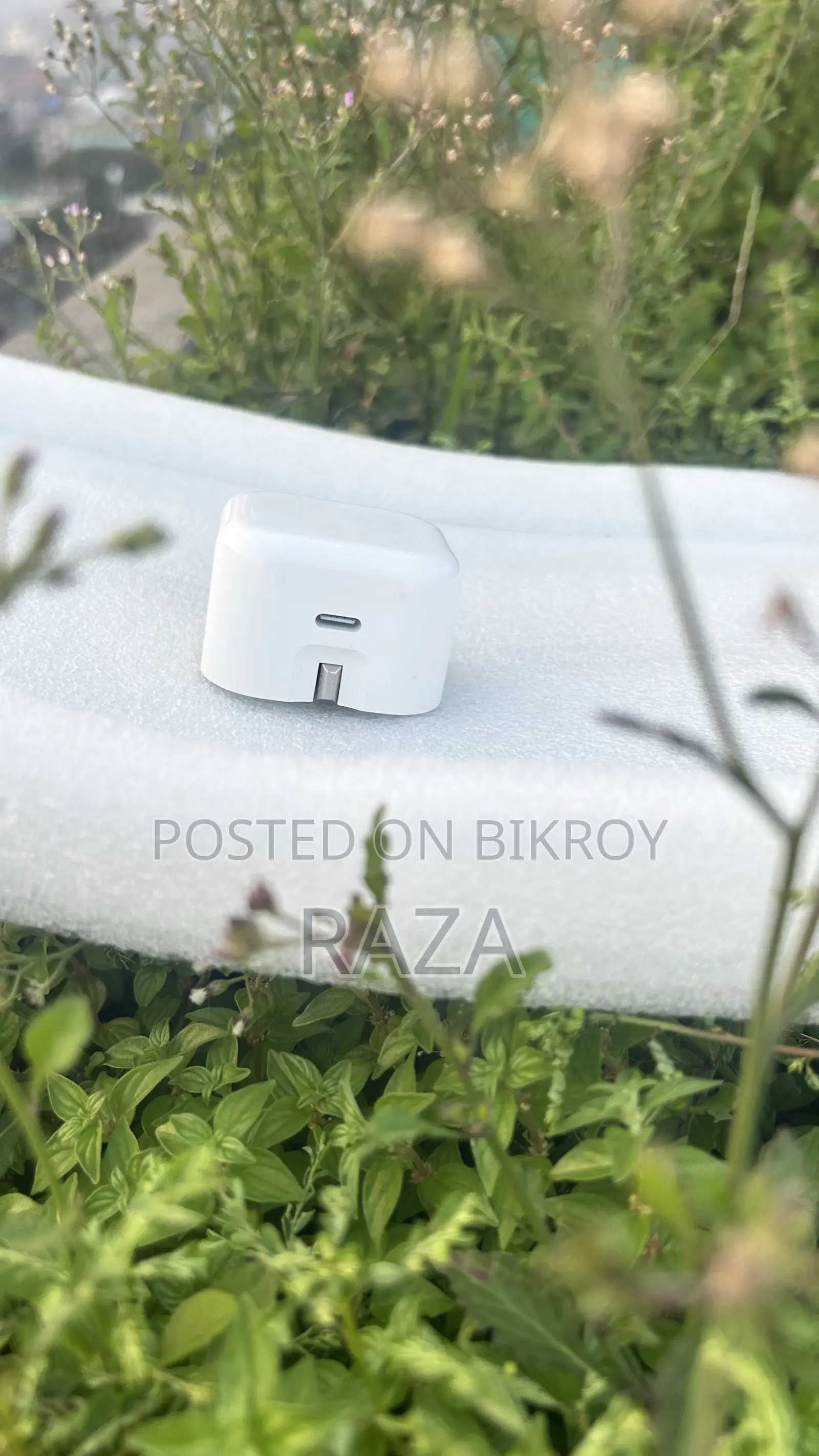 iPhone Original Charger