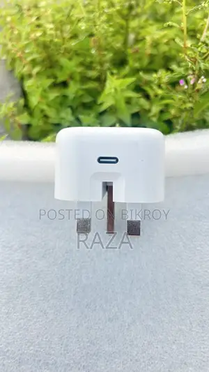 iPhone Original Charger