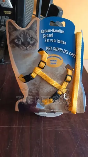 Cat Herness
