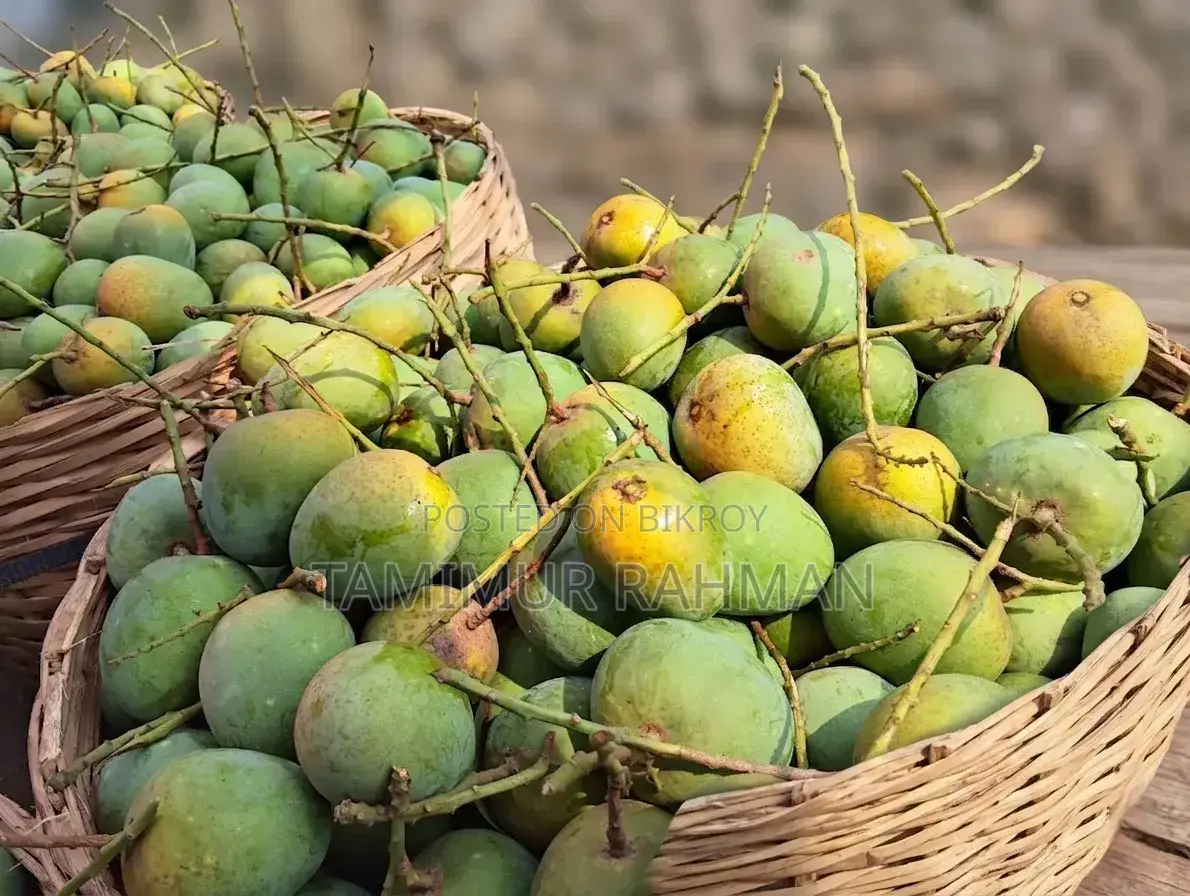 সাতক্ষীরা বিখ্যাত গোবিন্দভোগ ও গোপালভোগ আম দিয়ে শুরু হোক সিজন ২০২৬