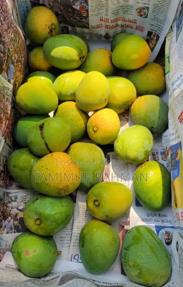 সাতক্ষীরা বিখ্যাত গোবিন্দভোগ ও গোপালভোগ আম দিয়ে শুরু হোক সিজন ২০২৬