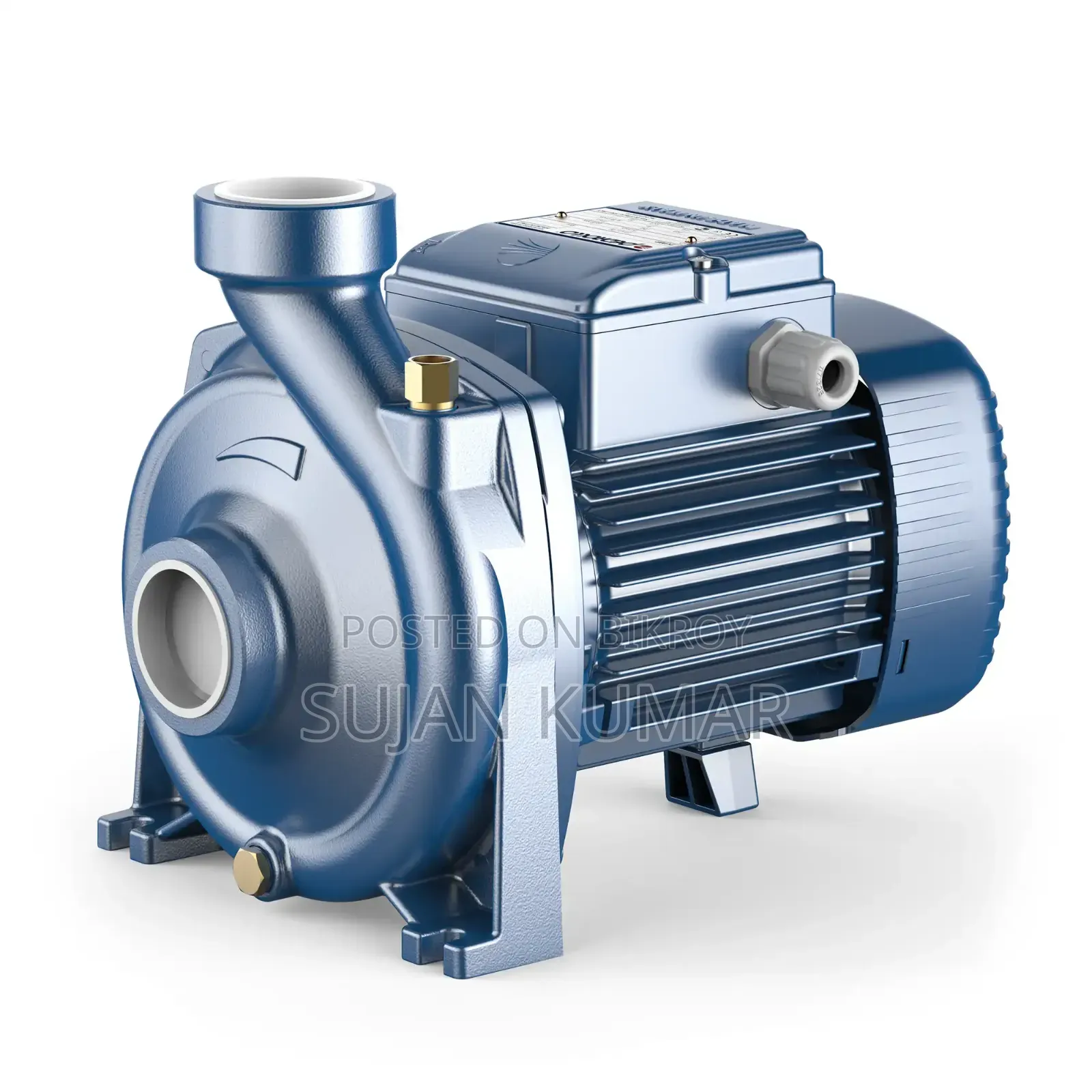 Pedrollo Centrifugal Pump