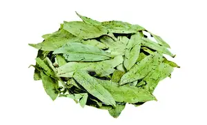 সোনাপাতা ১০০ গ্রাম - Bay Leaf 100 Gm