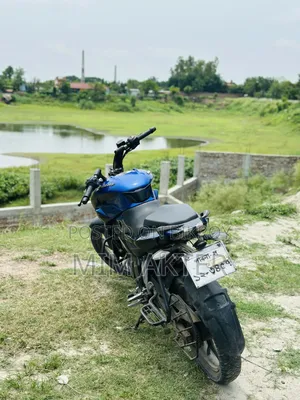 Bajaj Pulsar NS 160 2020 Blue