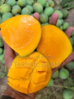 Gobindobhog Mango