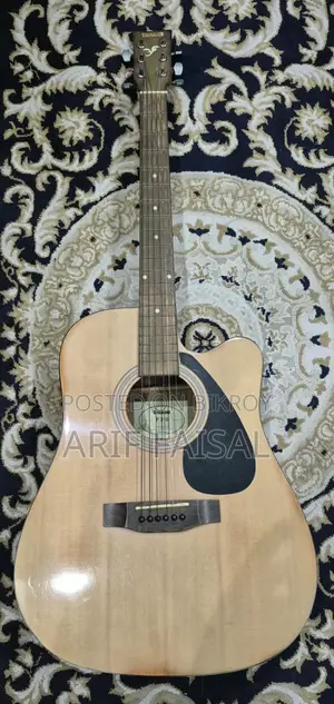 Acoustic Guitar