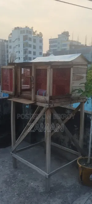 Pigeon Cage