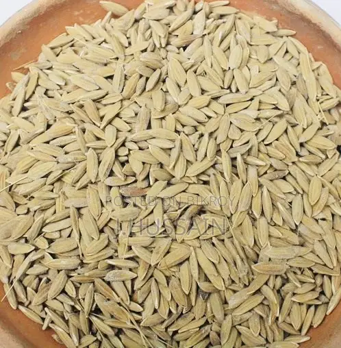High-Quality Dried BRRI 28 Paddy for Sale
