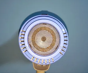 Hand Mic
