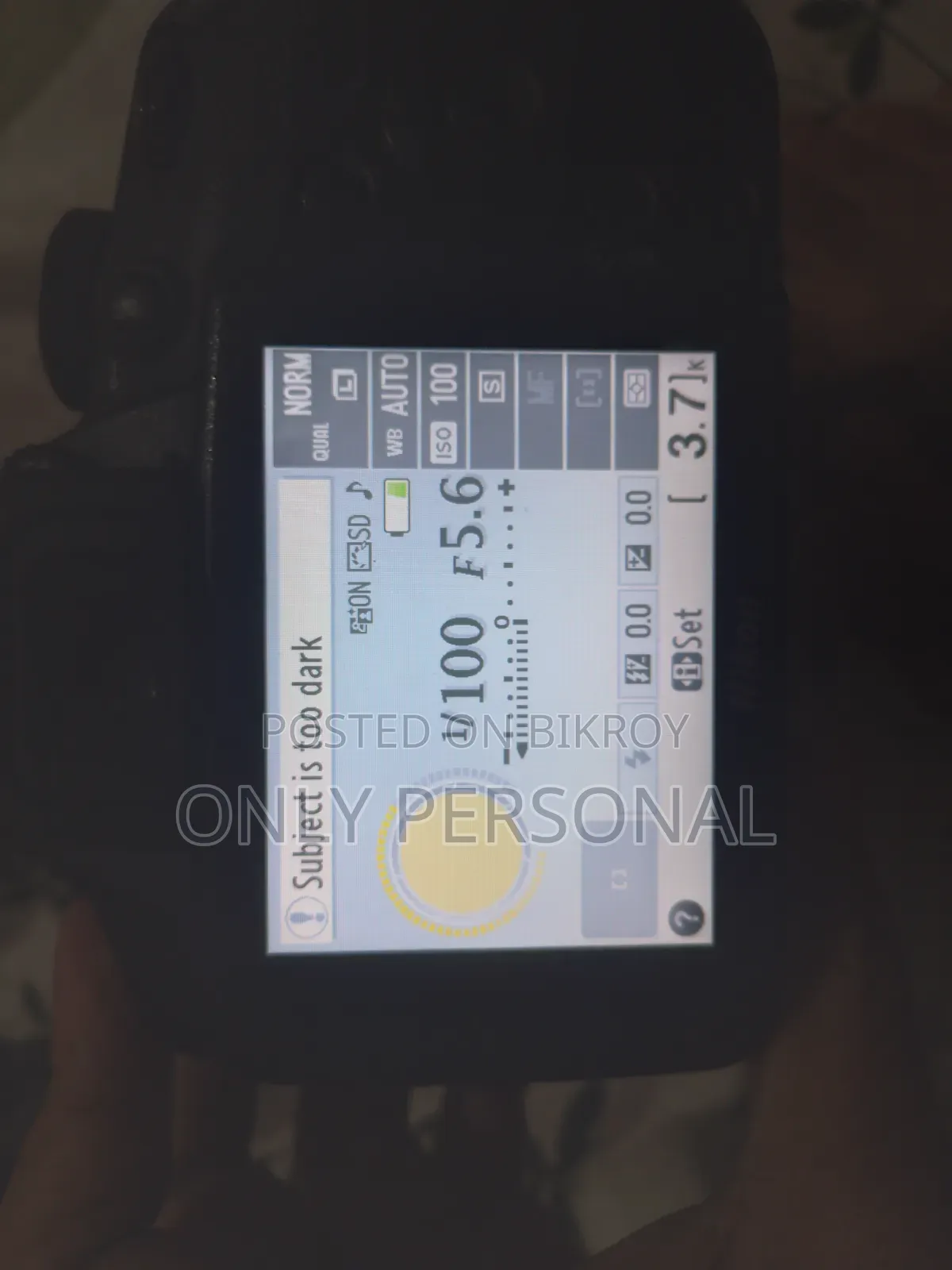 Nikon 24.2 Megapixel Camera Only