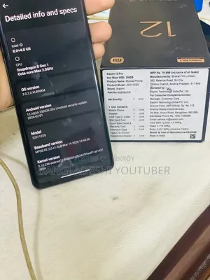 Xiaomi 12 Pro 256 GB Gray