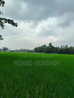 5 Decimal Land for Sale in Rangpur Beside the Road