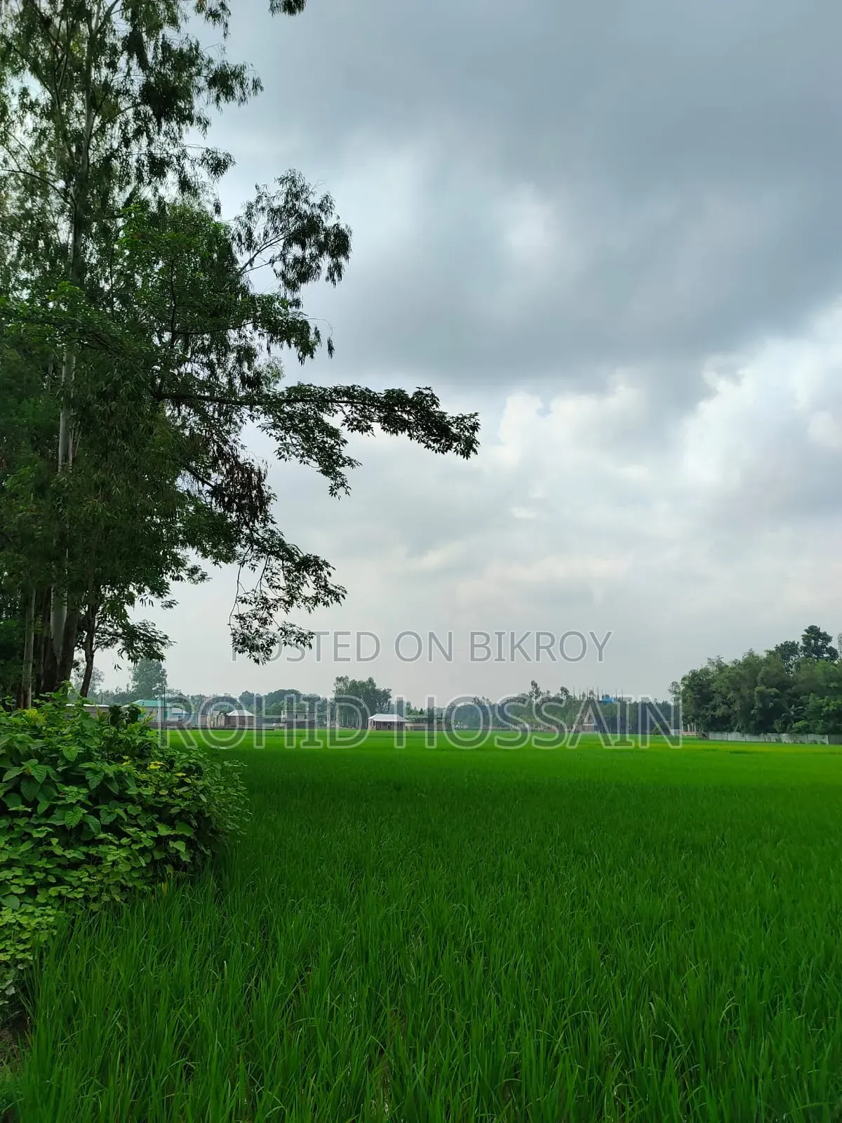 5 Decimal Land for Sale in Rangpur Beside the Road