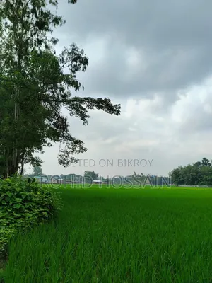 5 Decimal Land for Sale in Rangpur Beside the Road