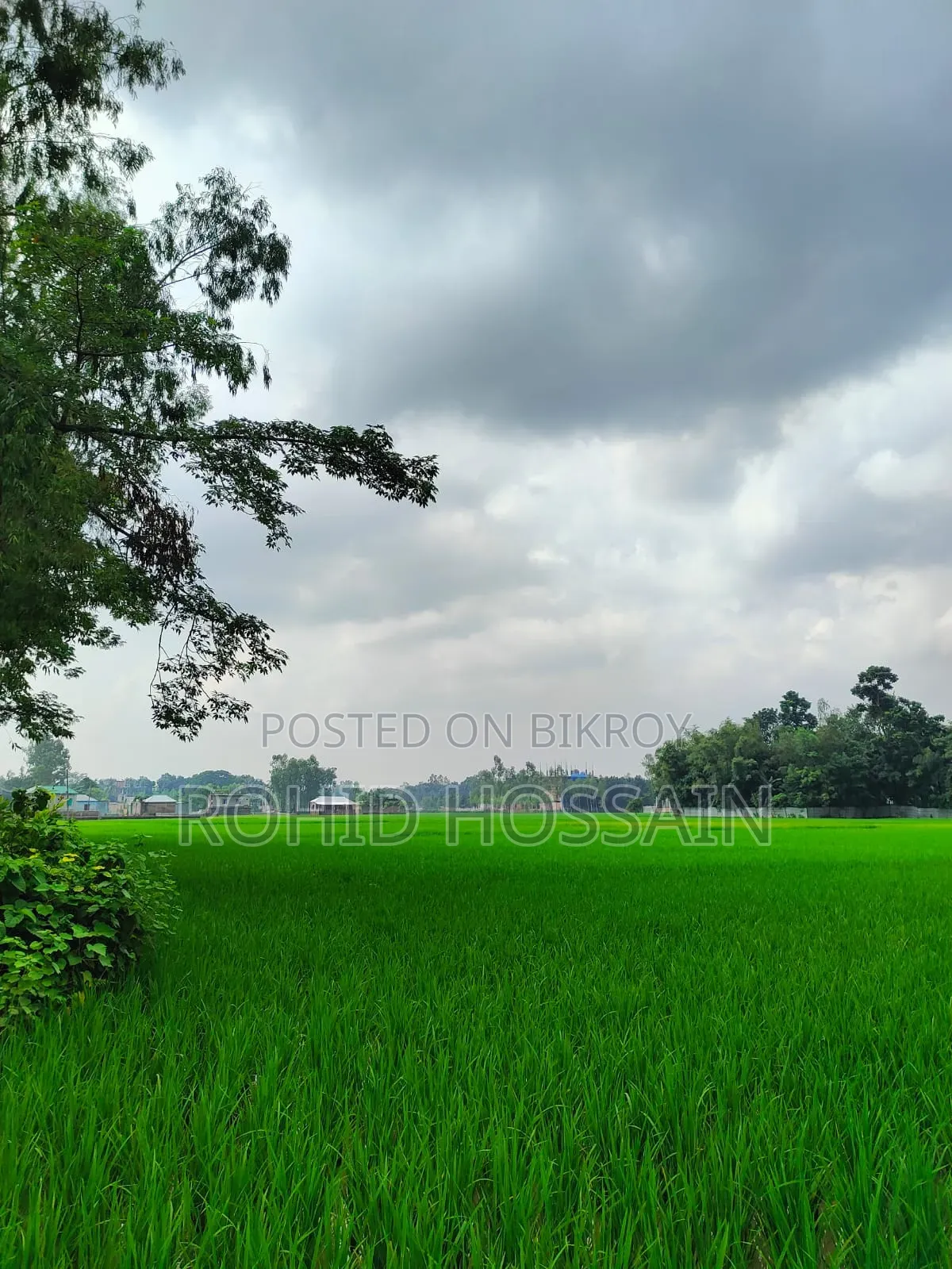 5 Decimal Land for Sale in Rangpur Beside the Road