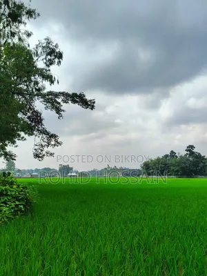 5 Decimal Land for Sale in Rangpur Beside the Road
