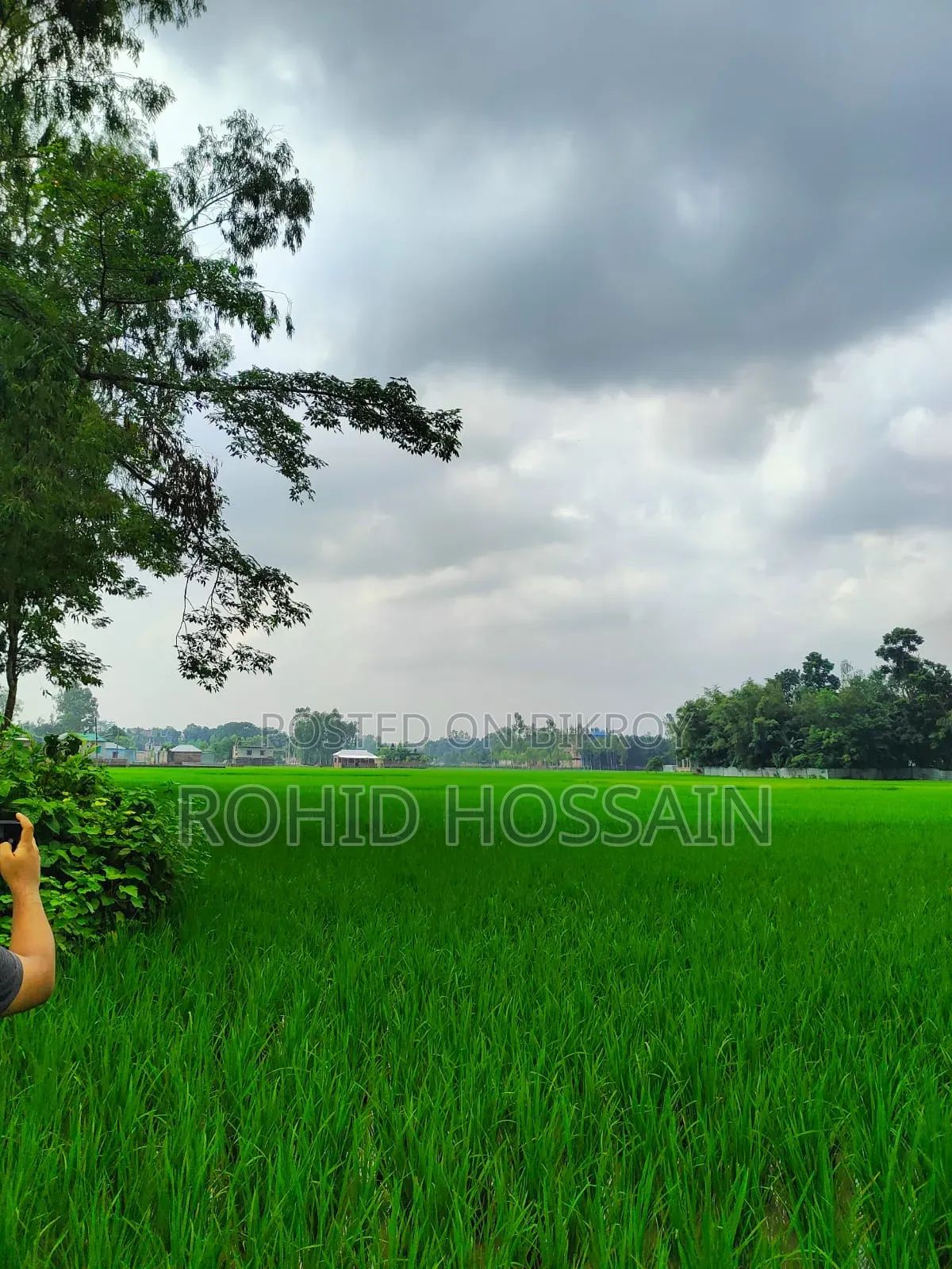 5 Decimal Land for Sale in Rangpur Beside the Road
