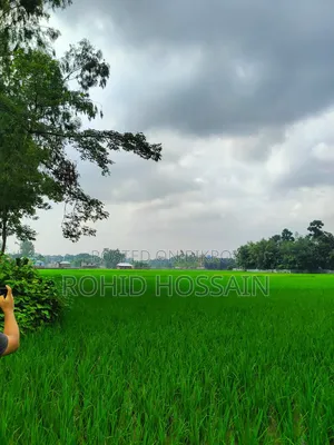 5 Decimal Land for Sale in Rangpur Beside the Road