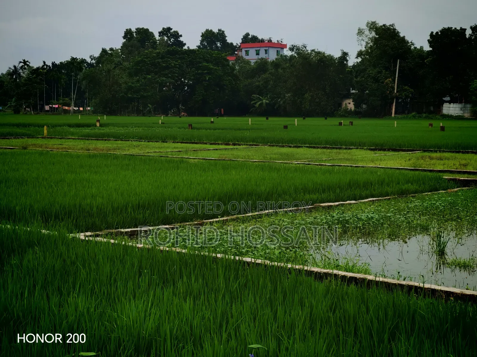 5 Decimal Land for Sale in Rangpur Beside the Road