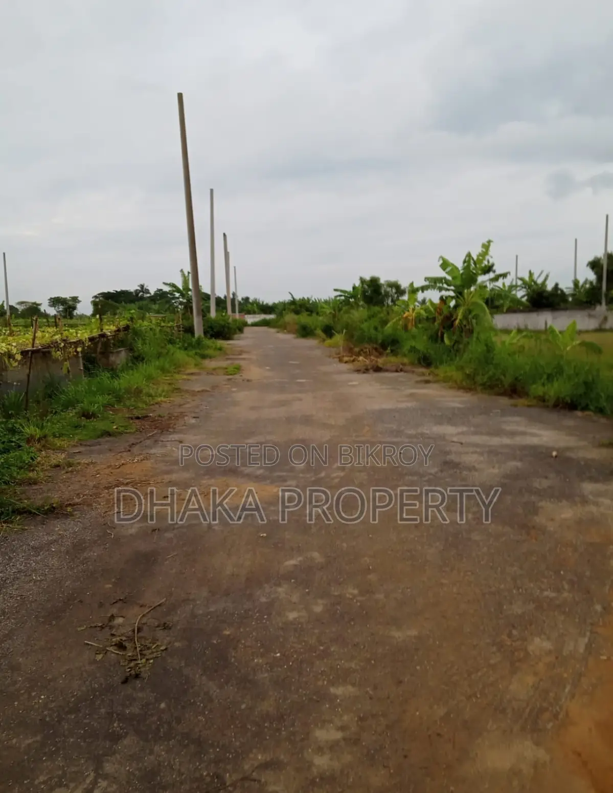 Nearby 75ft 3 Katha South at Sector-25
