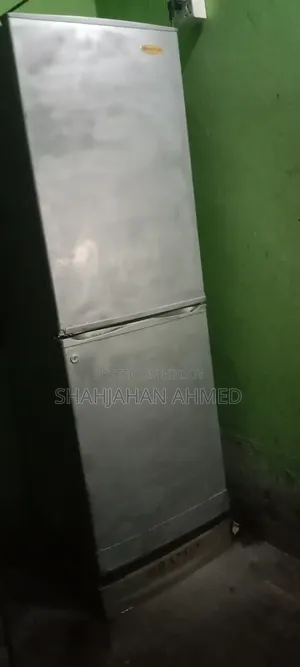 ফ্রিজ লম্বা