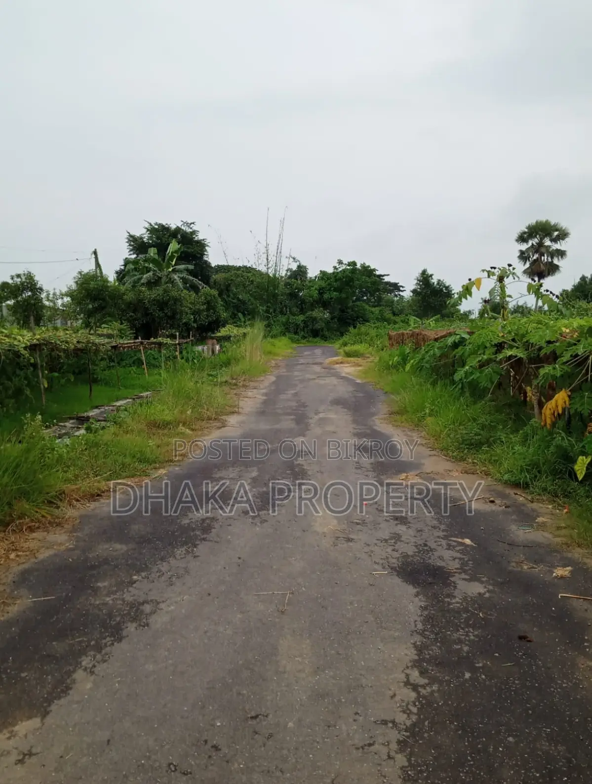 Cheap Rate 5 Katha Park North at Sector-29