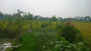 Land for Sale: One Plot Away from the Main Road