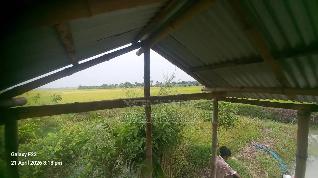 Land for Sale: One Plot Away from the Main Road
