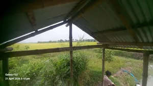 Land for Sale: One Plot Away from the Main Road