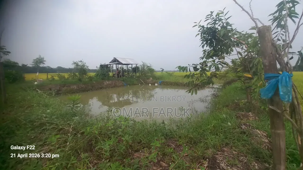 Land for Sale: One Plot Away from the Main Road