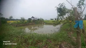 Land for Sale: One Plot Away from the Main Road