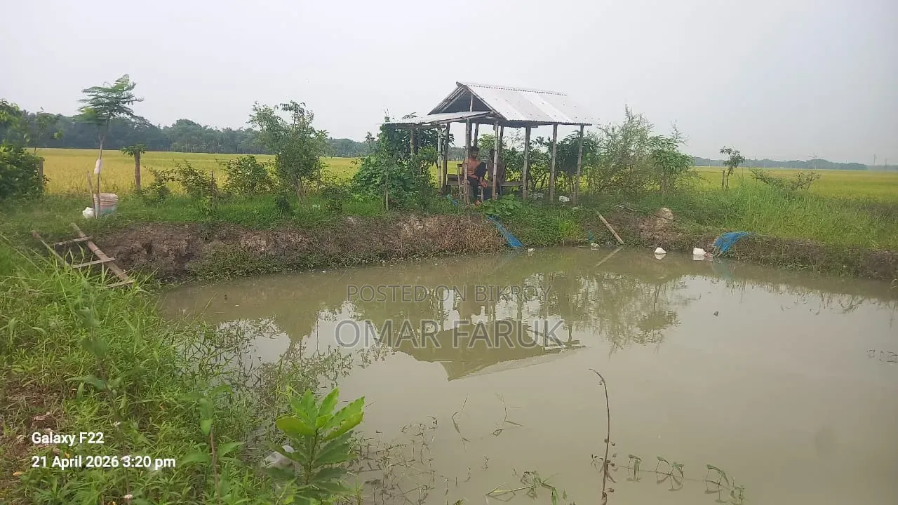 Land for Sale: One Plot Away from the Main Road
