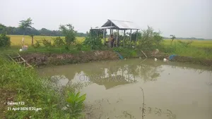 Land for Sale: One Plot Away from the Main Road