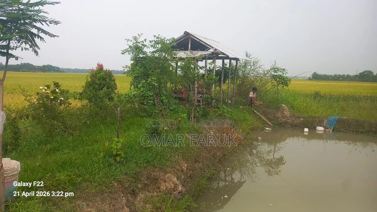 Land for Sale: One Plot Away from the Main Road