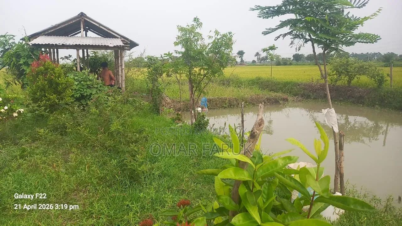 Land for Sale: One Plot Away from the Main Road