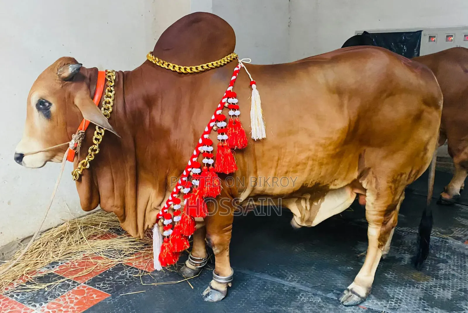 Cow Necklace