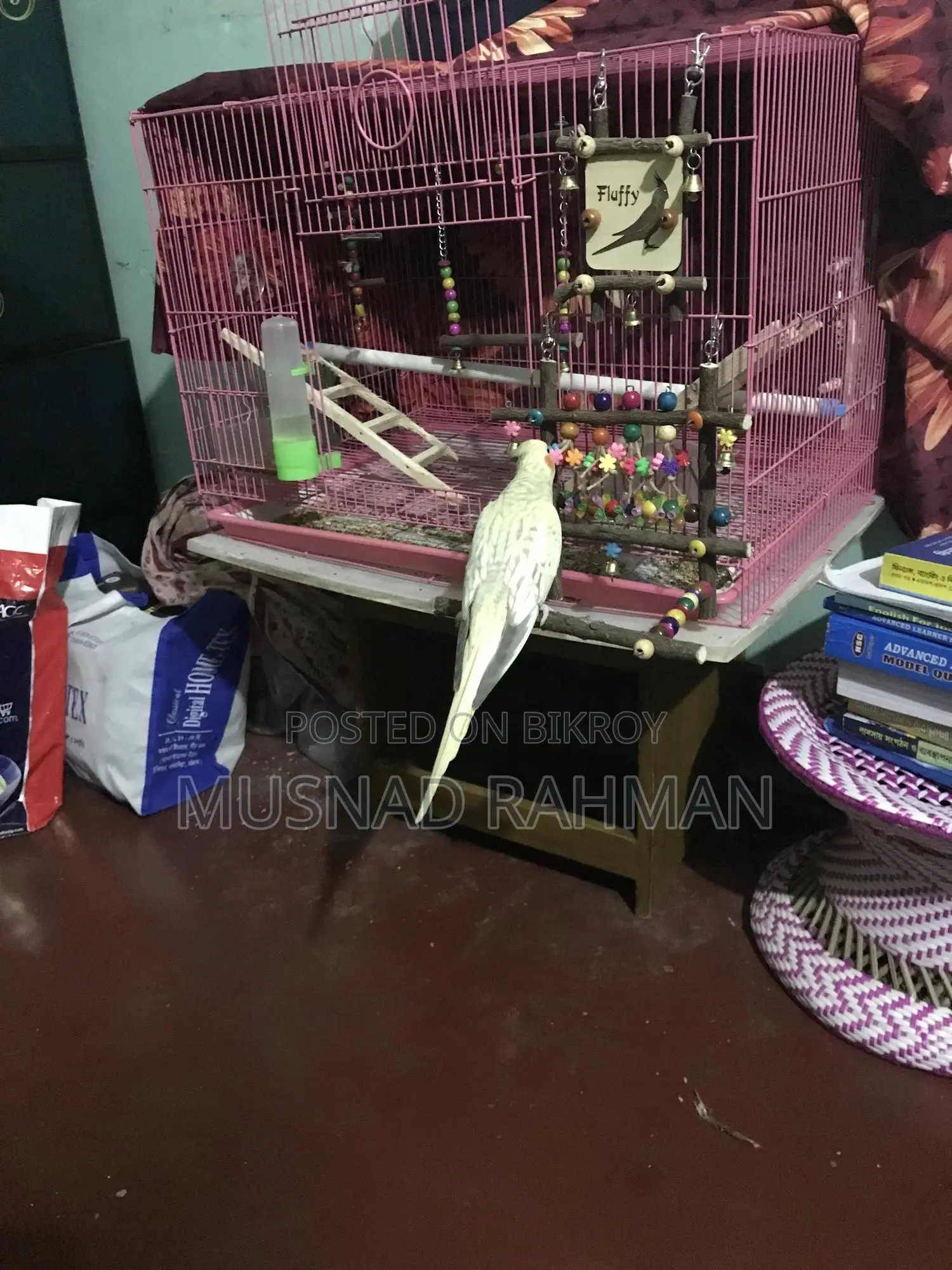পাখির খাঁচা ও খেলনা