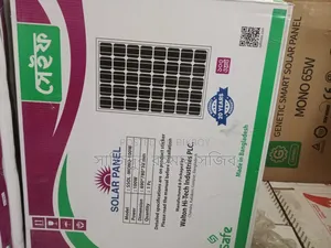 100 ওয়াট ওয়ালটন সেইফ সোলার প্যানেল