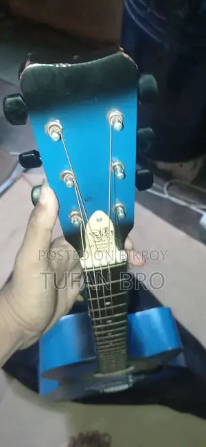 Guitar