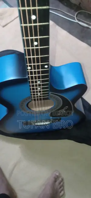 Guitar