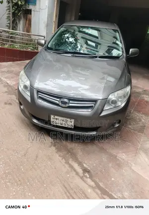 Toyota Corolla Fielder 2010 Gray
