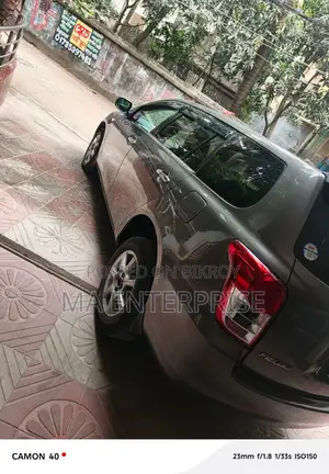 Toyota Corolla Fielder 2010 Gray